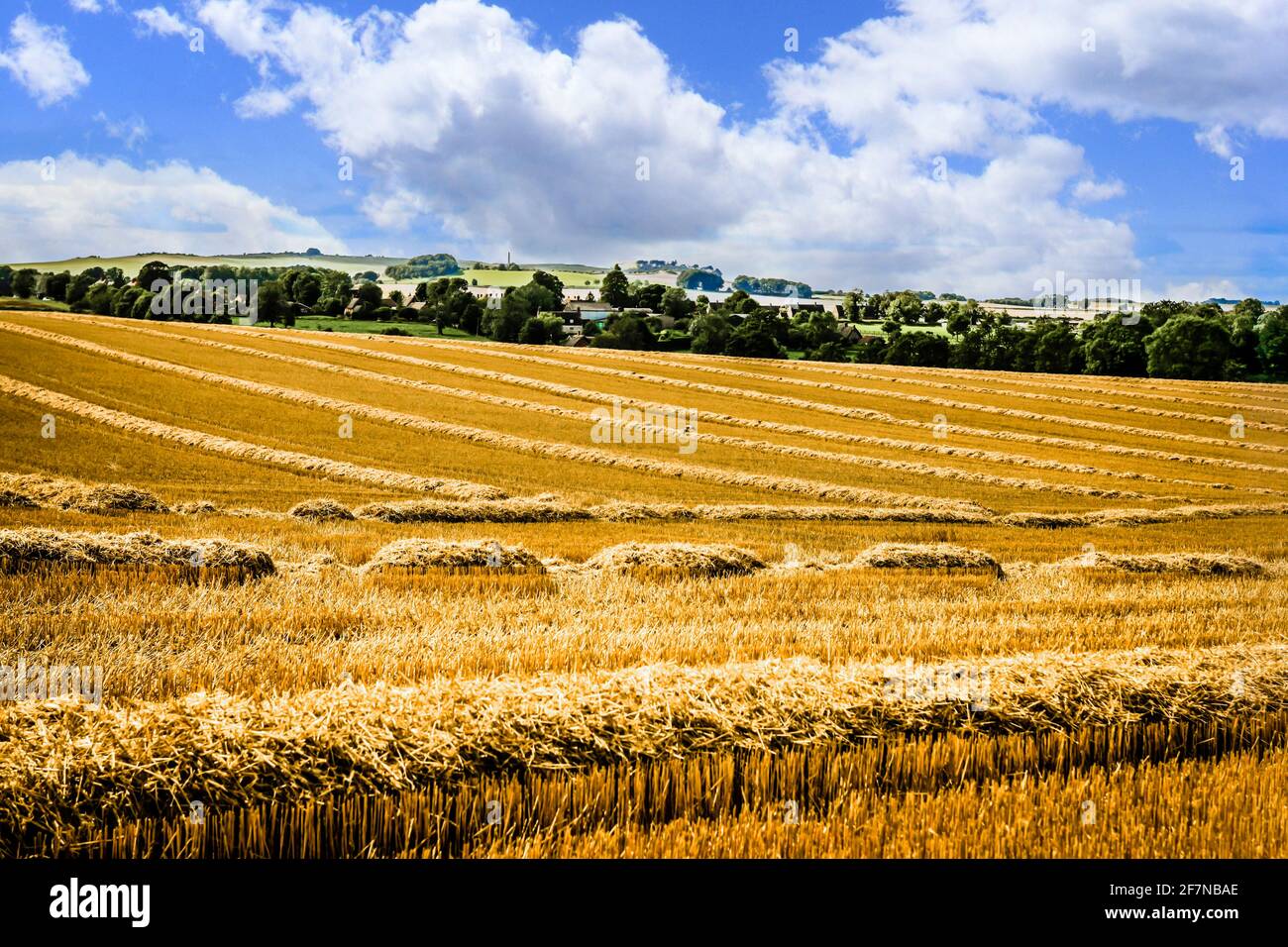 Cut wheat field in Wiltshire Stock Photo