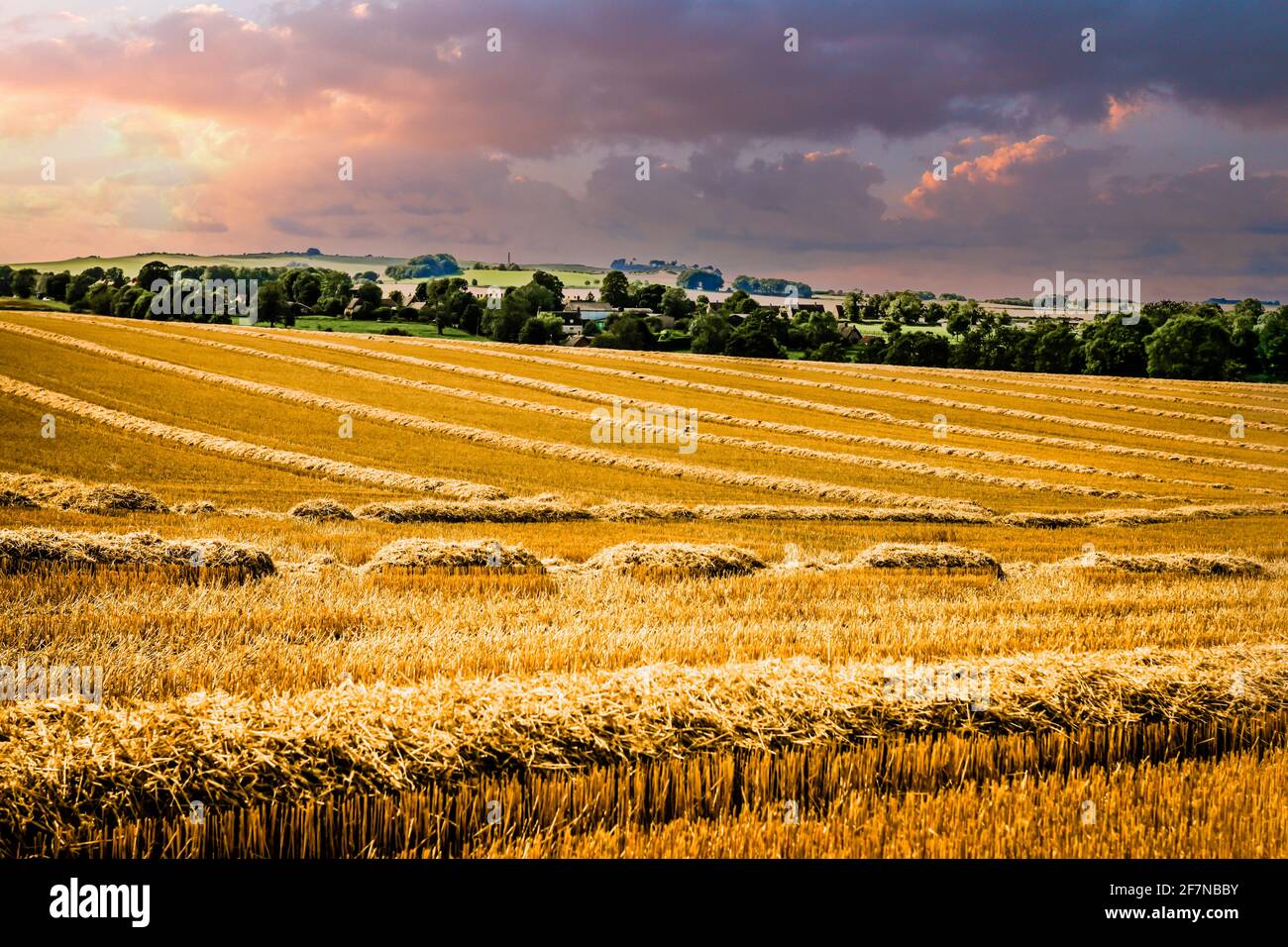 Cut wheat field in Wiltshire Stock Photo