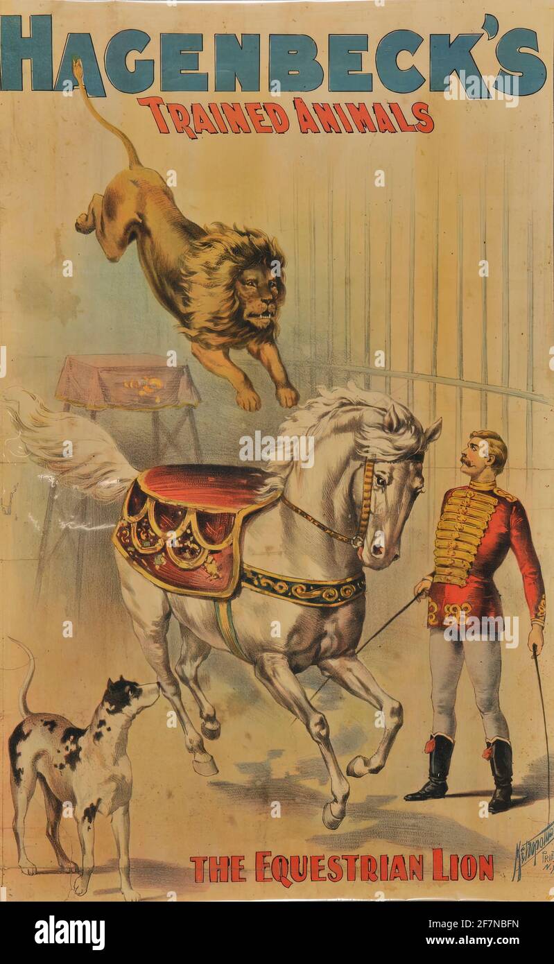 A vintage circus poster for Hagenbeck's Trained Animals with the Equestrian Lion Stock Photo