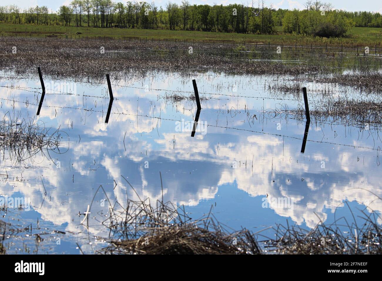 Blue sky reflected in pond hi-res stock photography and images - Alamy