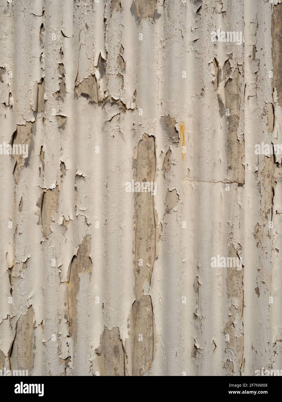 Paint peeling off shed walls Stock Photo Alamy