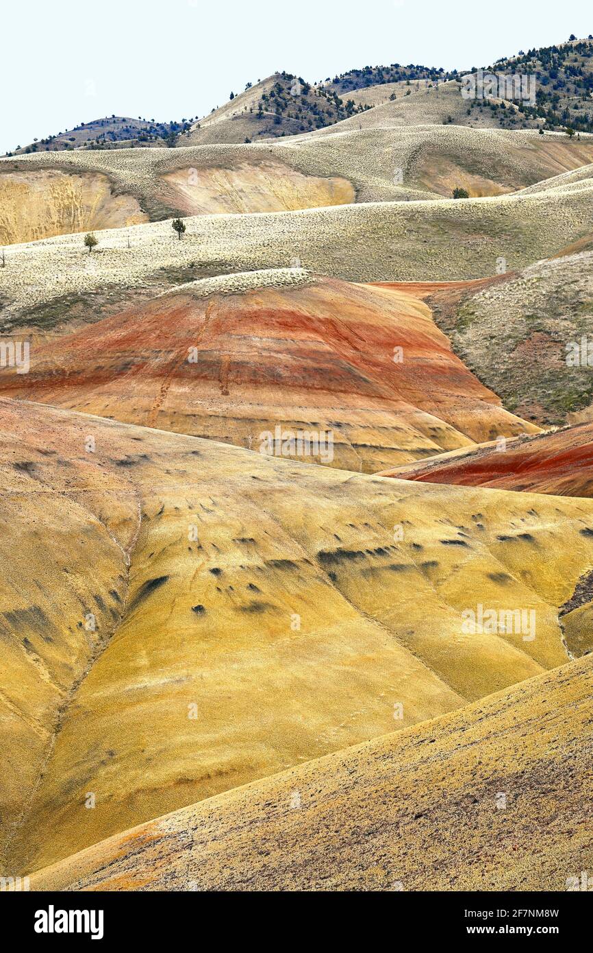 The Amazing Painted Hills of Oregon Stock Photo