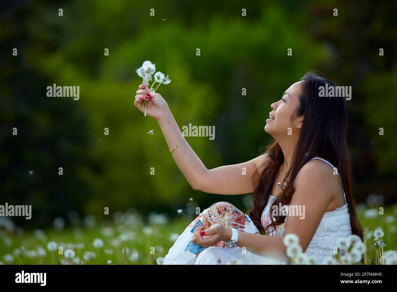 Side view of filipino female sitting on grass and blowing dandelion in summer at field Stock Photo