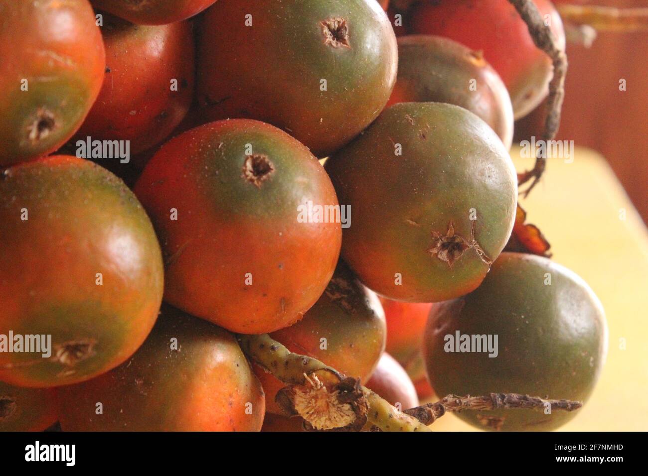 Peach Palm Fruit close up Stock Photo Alamy