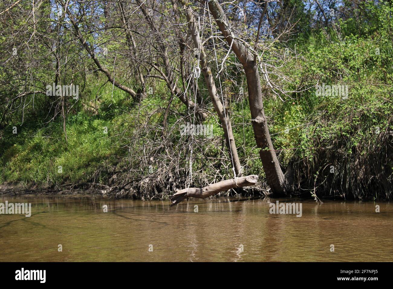 Ropeswing hi-res stock photography and images - Alamy
