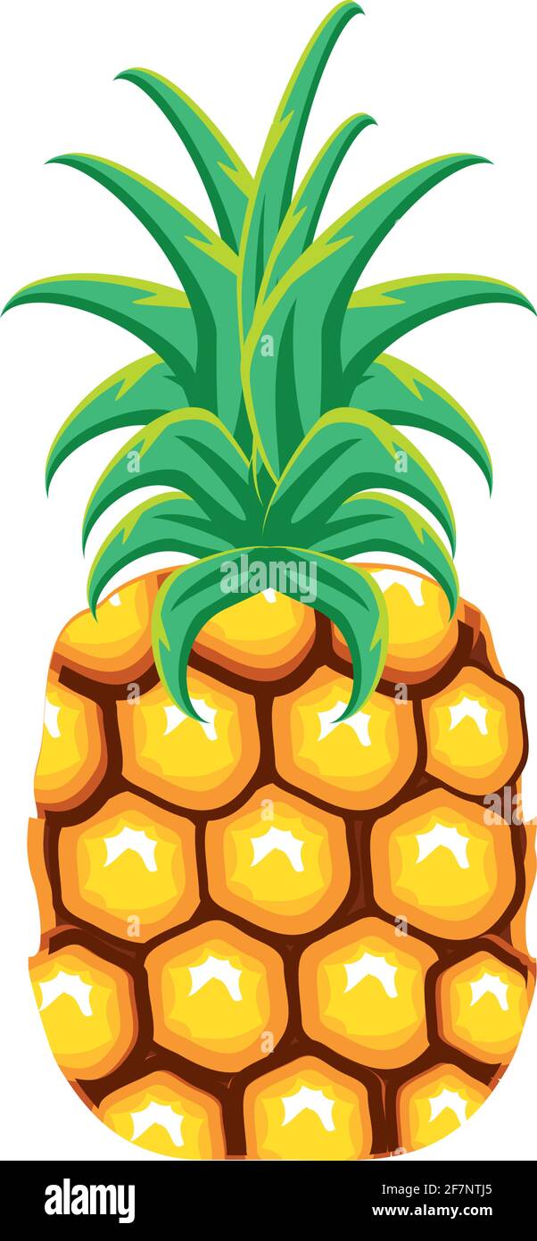 tropical fruit pineapple Stock Vector Image & Art - Alamy
