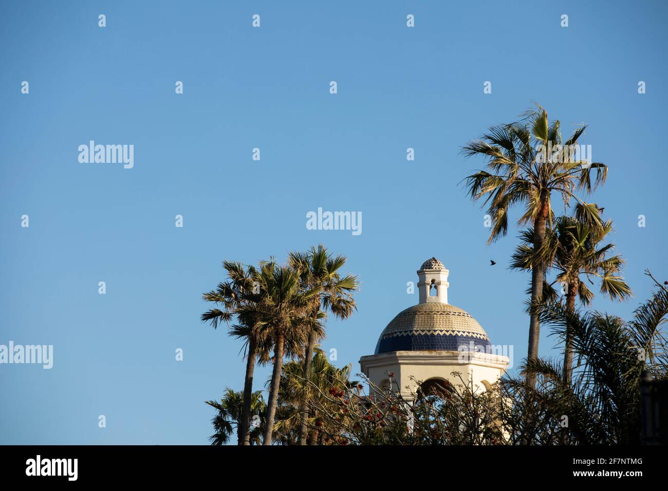 Birds fly by palm trees and historic architecture in Oxnard, California, USA. Stock Photo