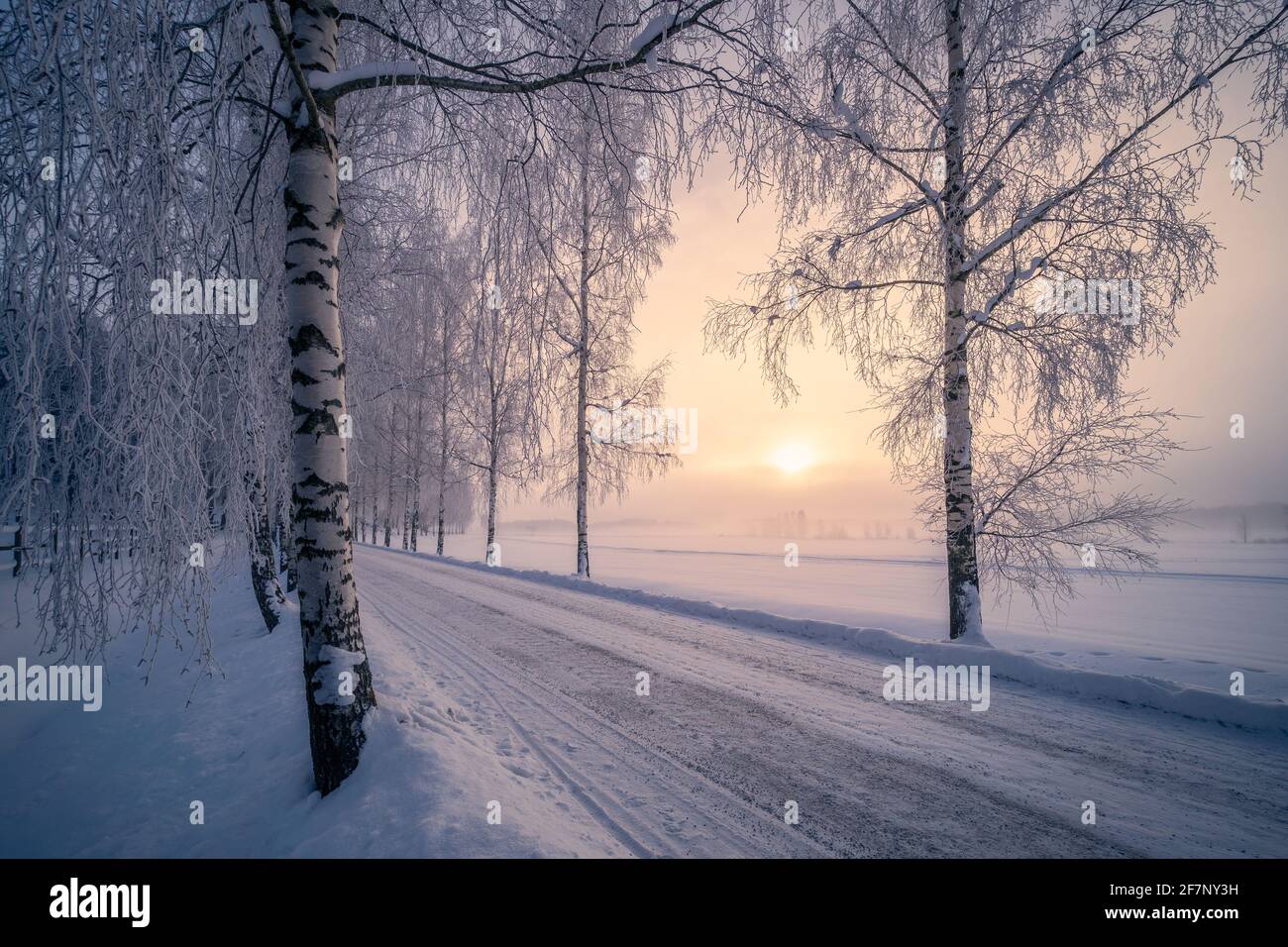 Scenic snow landscape with beautiful sunrise and snowy road at winter morning in Finland Stock Photo