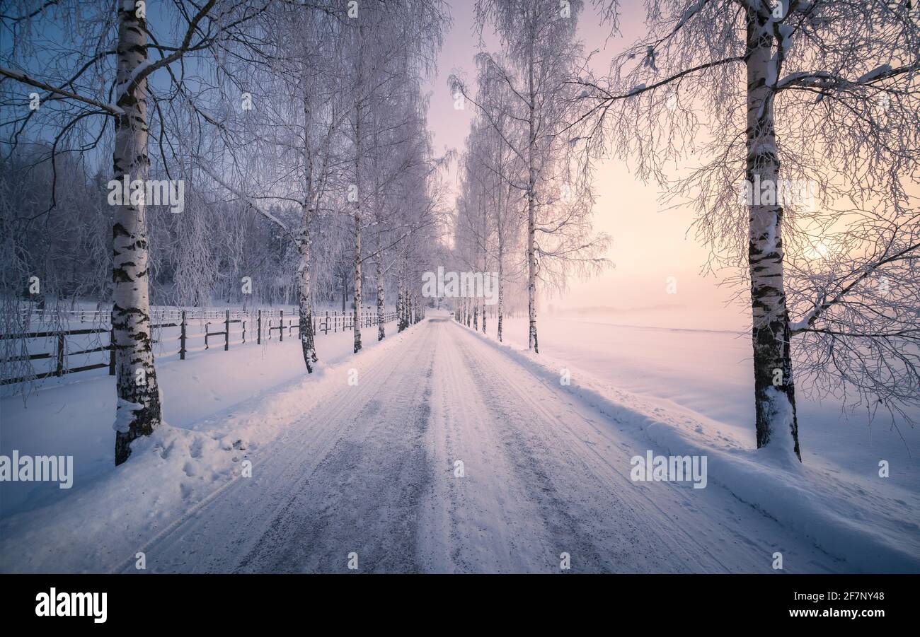 Scenic snow landscape with beautiful sunrise and snowy road at winter morning in Finland Stock Photo