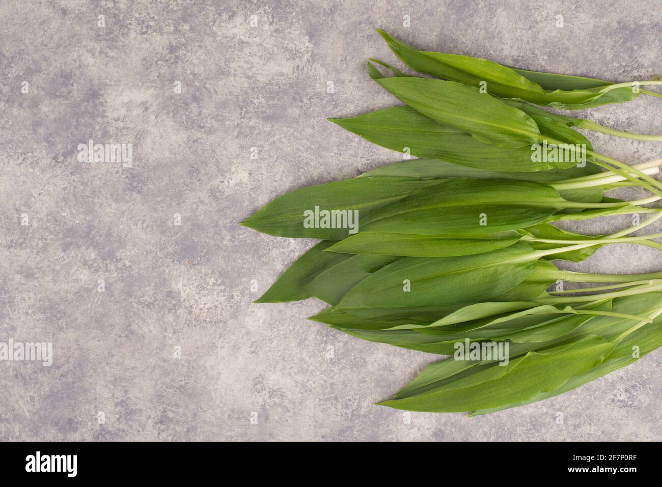 Fresh wild garlic leaves isolated on a white background Stock Photo - Alamy