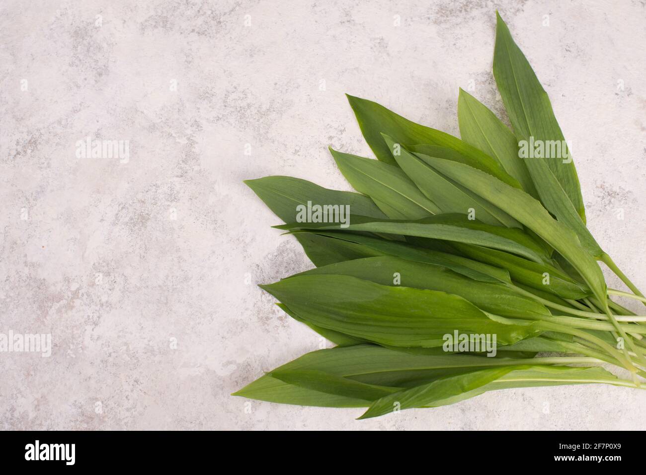 Fresh wild garlic leaves isolated on a white background Stock Photo - Alamy
