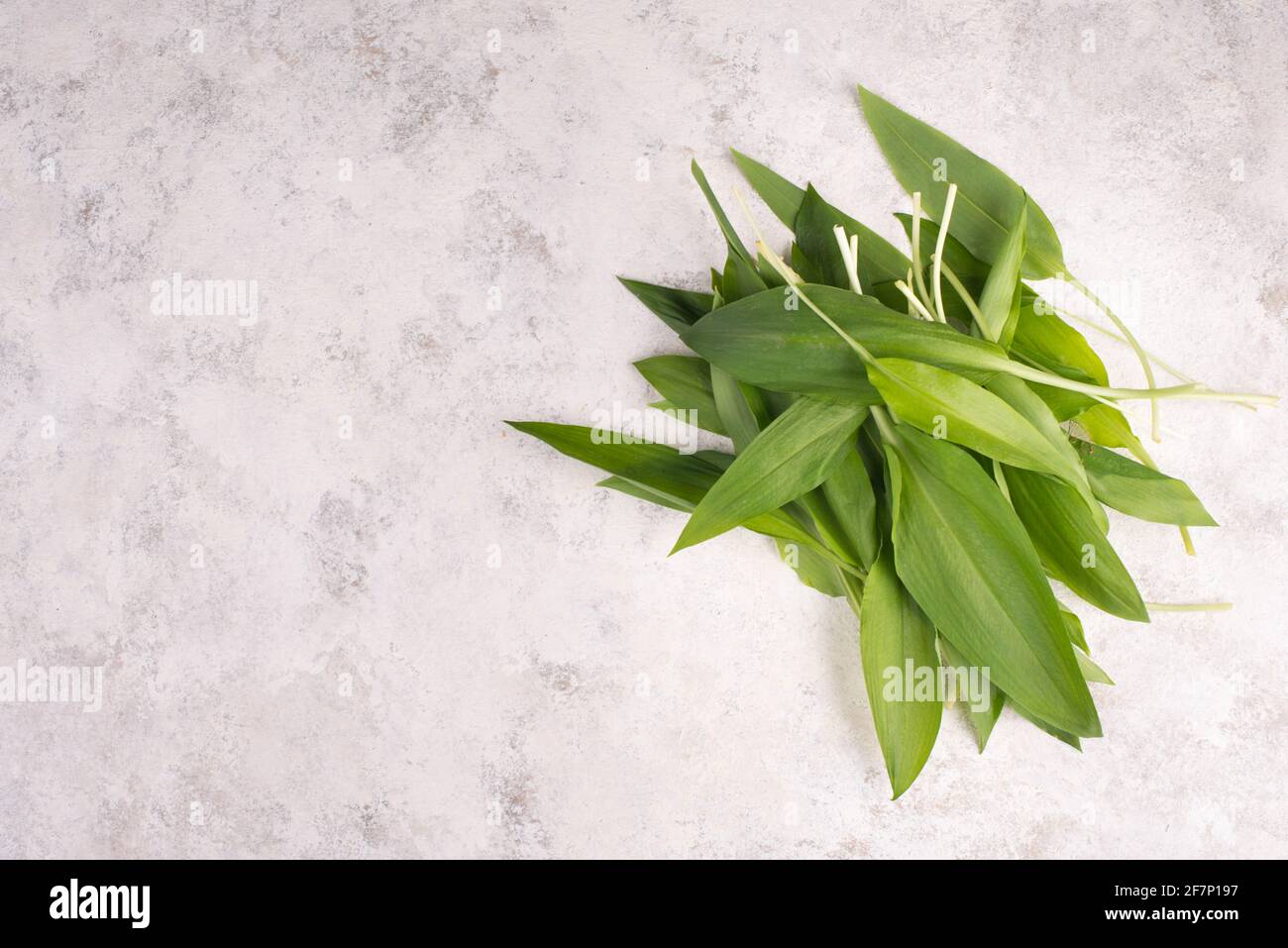 Fresh wild garlic leaves isolated on a white background Stock Photo - Alamy