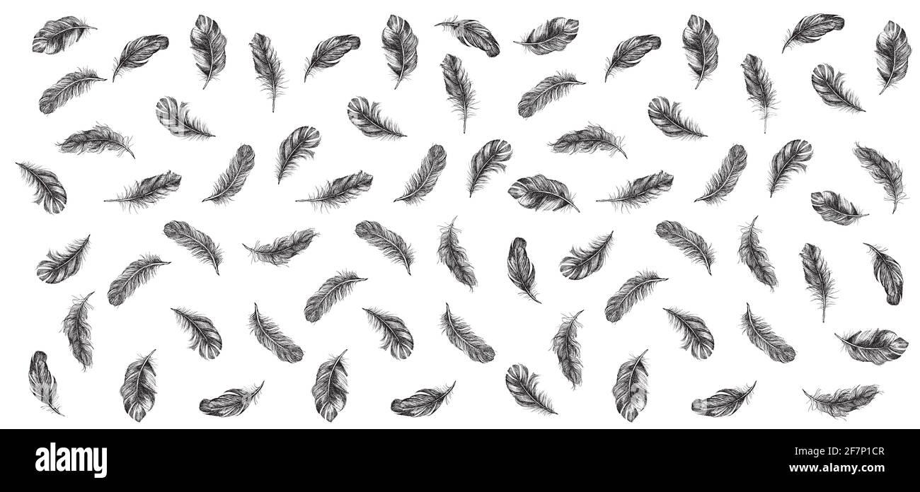 Feather icon set. Hand drawn illustration. Doodle sketch Stock Photo ...