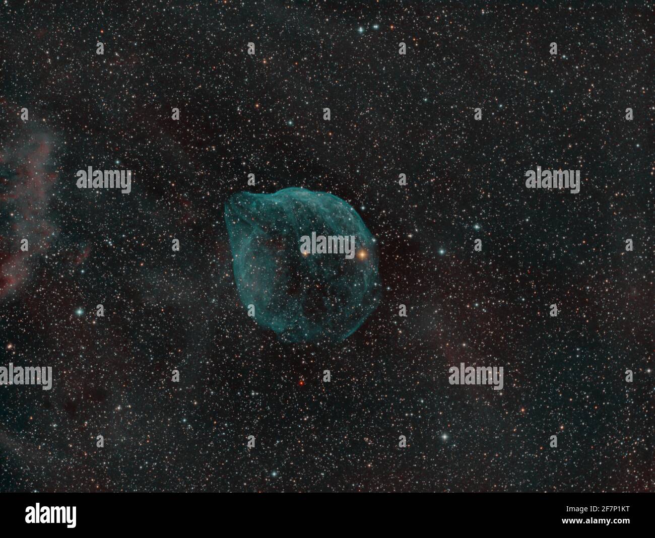 SH2-308 - The Dolphin Nebula Stock Photo