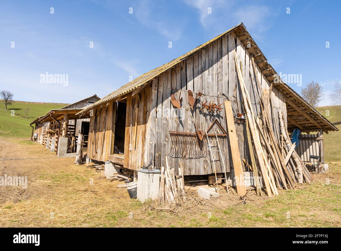 Lounge zone. Wooden lounge chair and table on lawn grass in a garden