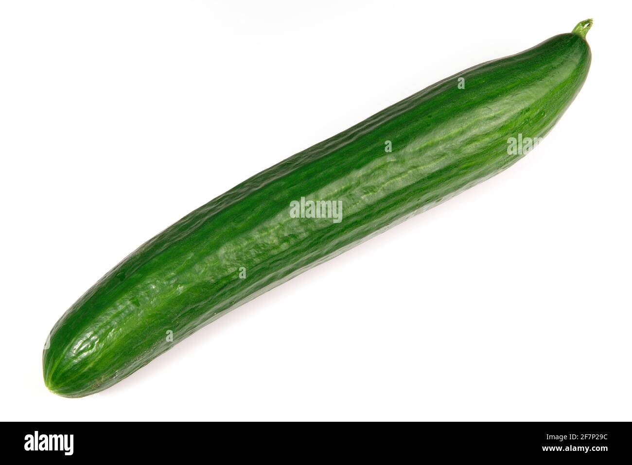 Fresh Cucumber isolated on white Background Stock Photo