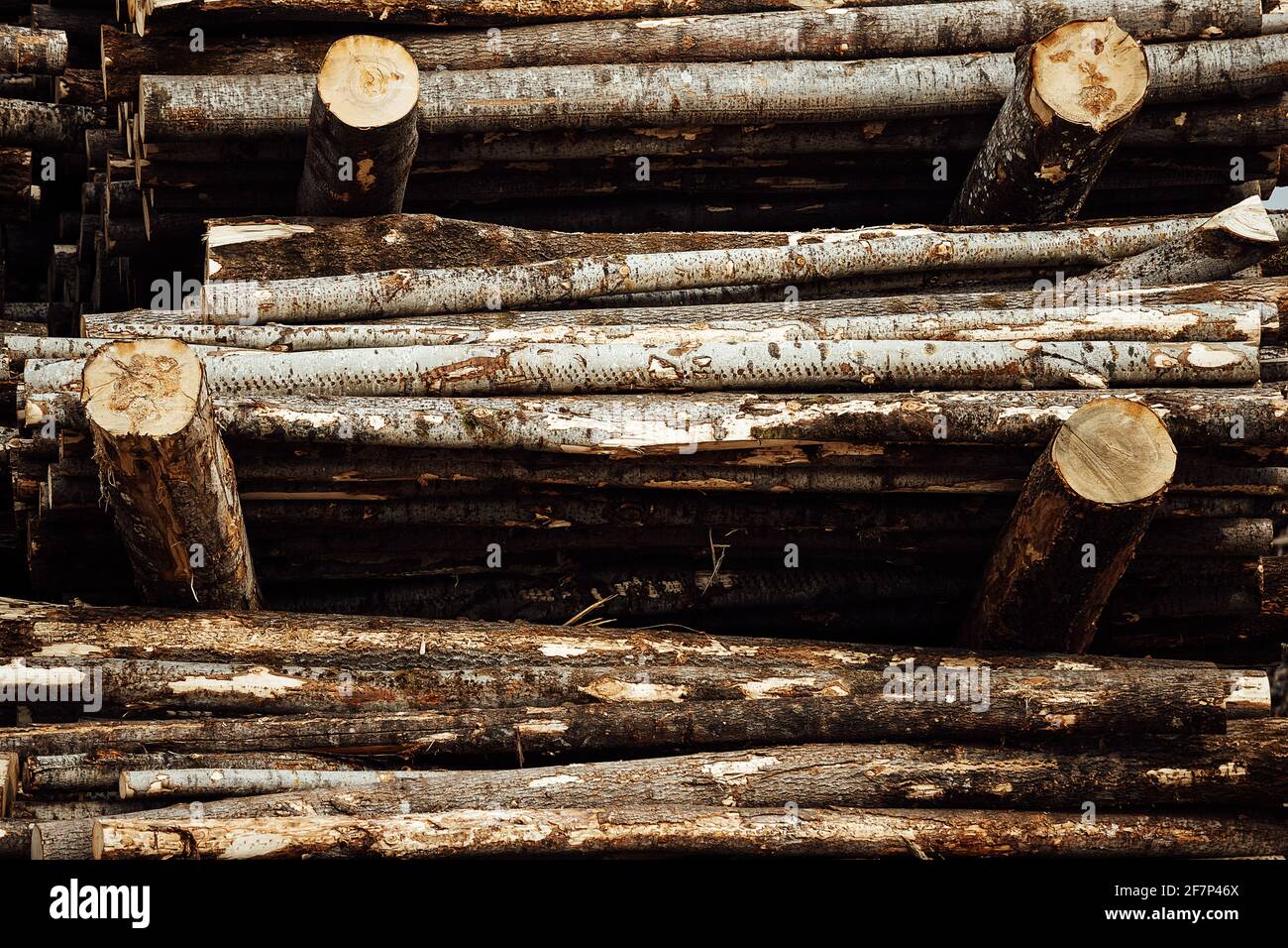 Raw material warehouse hires stock photography and images Alamy