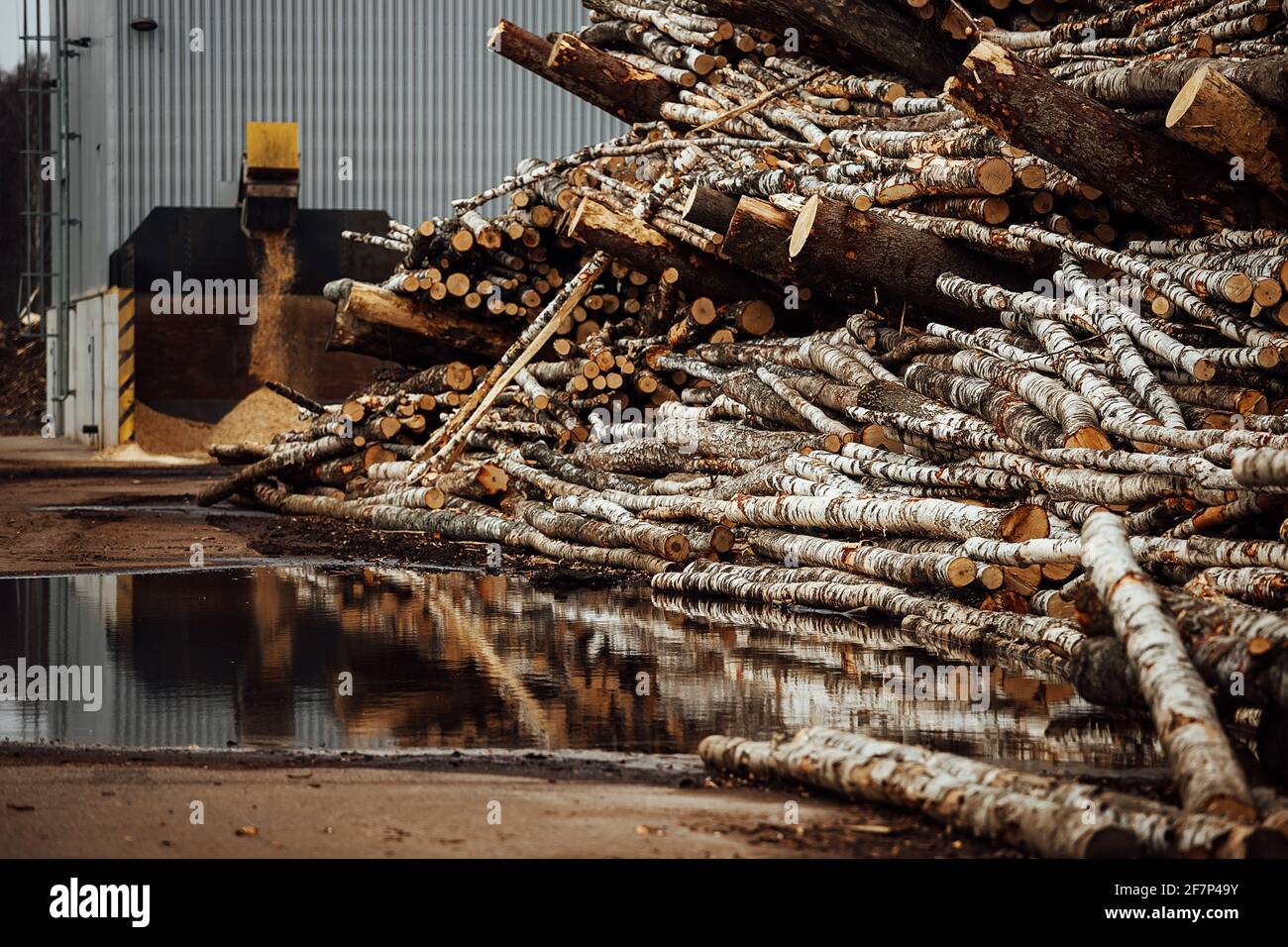 Raw materials for the furniture industry hi-res stock photography 