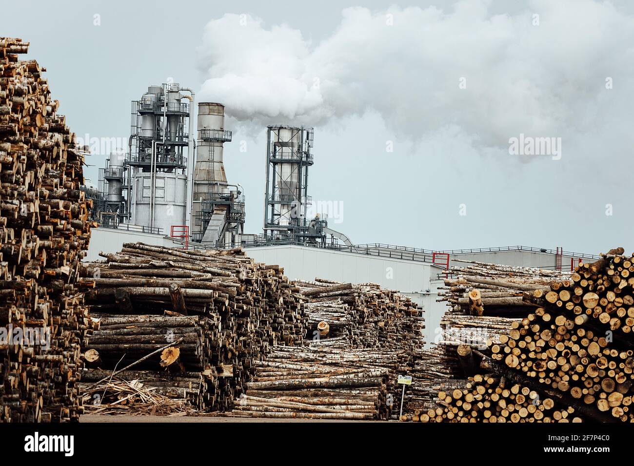 warehouse of felled trees at the factory. smoking factory chimneys pollute the atmosphere. the woodworking enterprise destroys forests and harms Stock Photo
