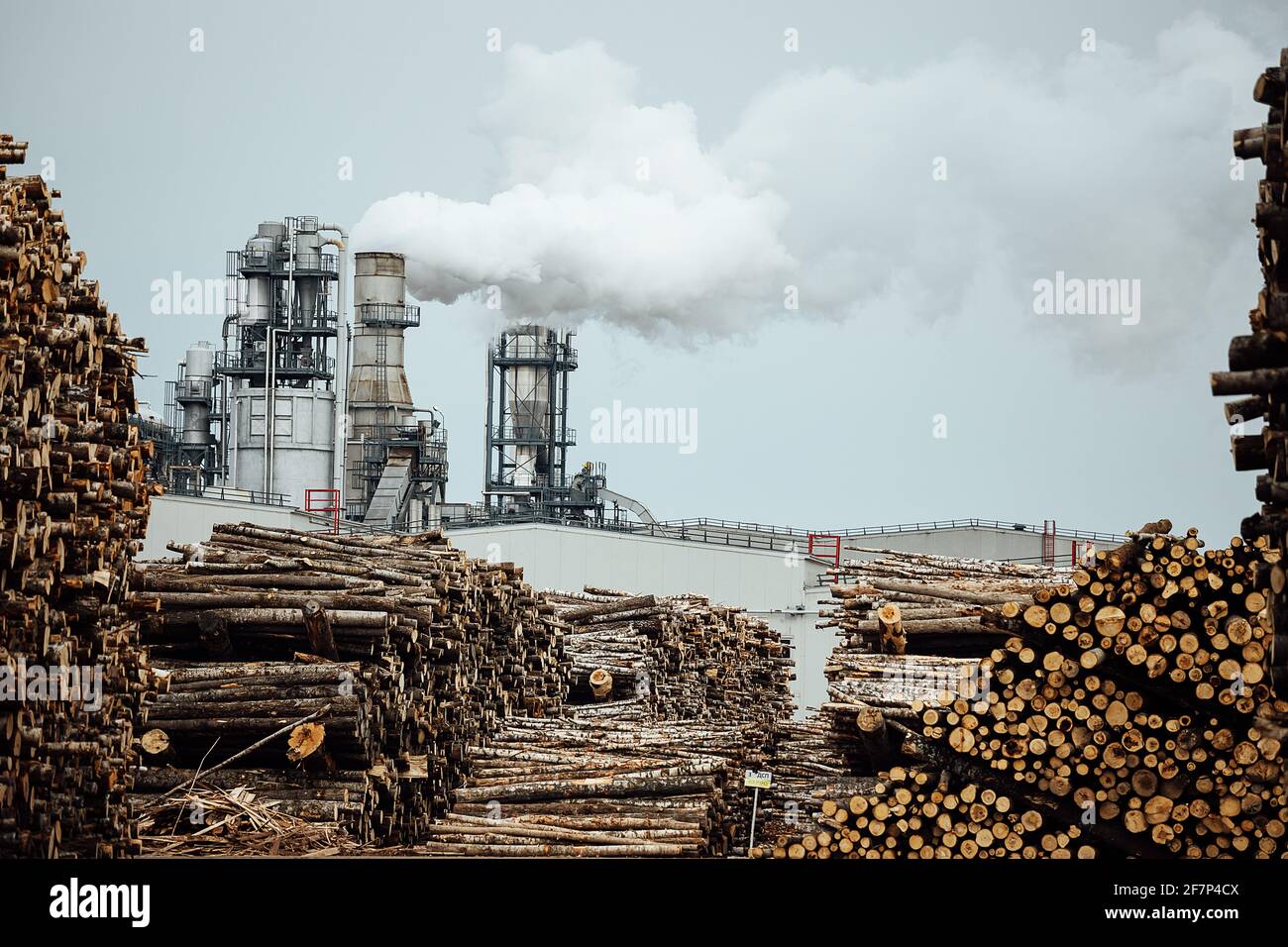 warehouse of felled trees at the factory. smoking factory chimneys