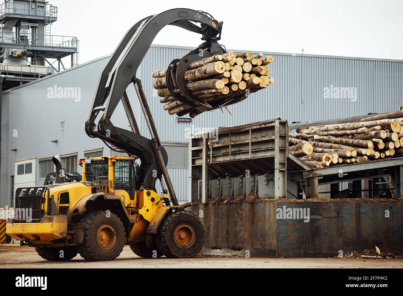 front loader for loading timber. an industrial tractor transports ...
