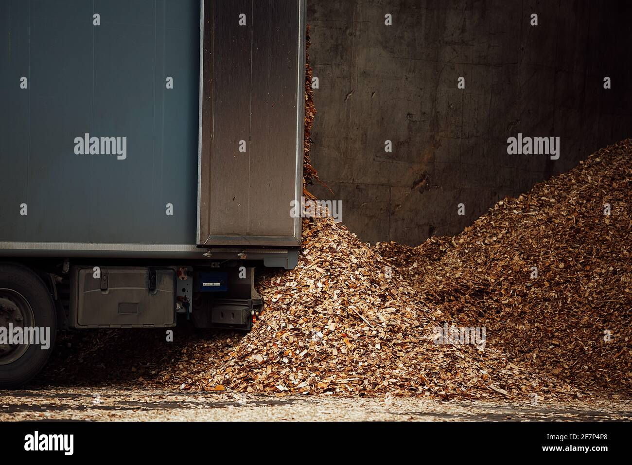 the truck unloads tons of wood waste. sawdust and shavings are stored for further processing. mountain of waste wood Stock Photo