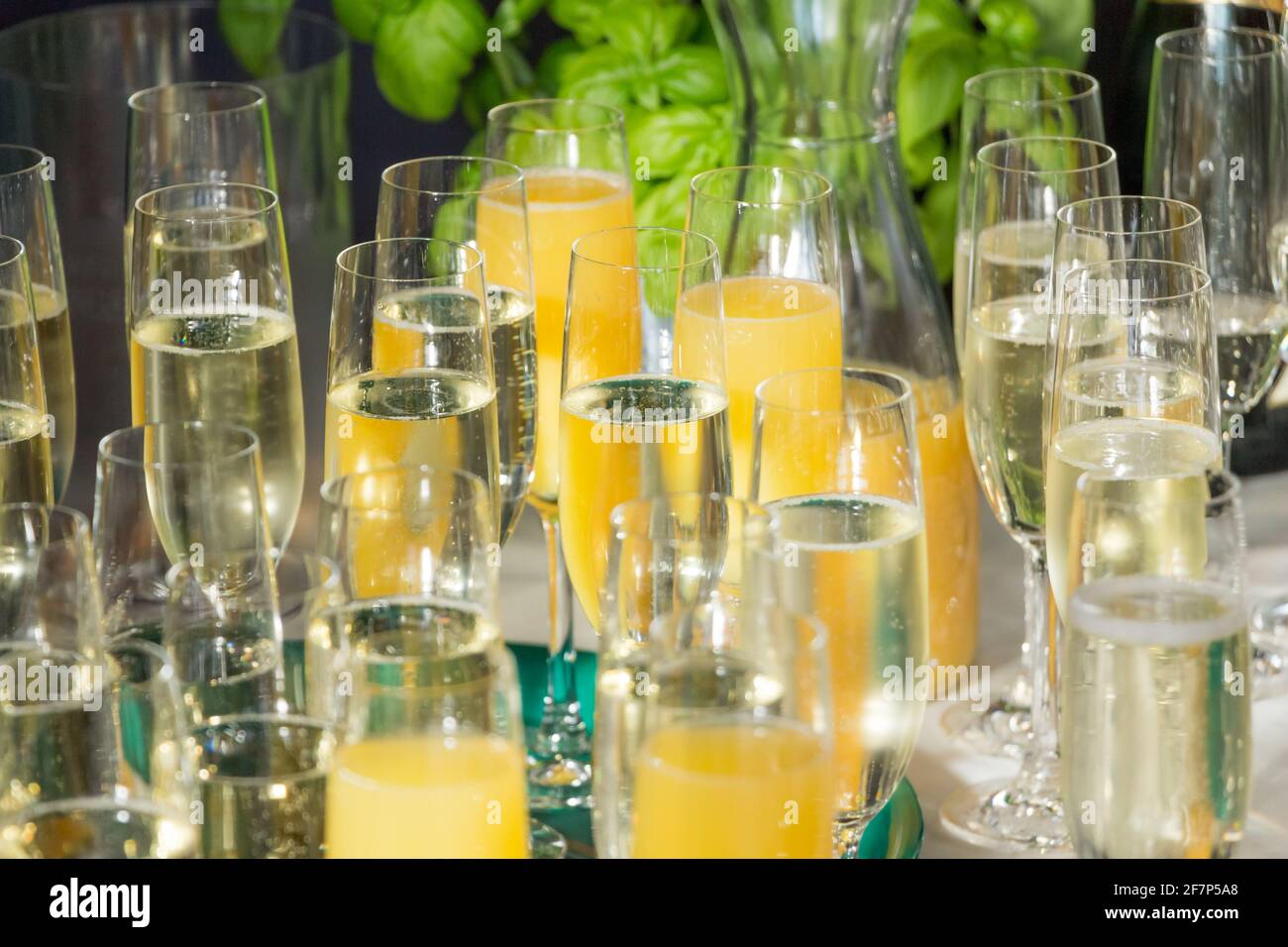 Luxury drink champagne at gala party success celebration. Mixed
