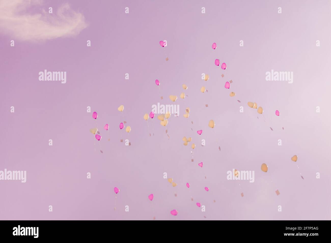 Heart love balloons fly into pink sky with ceremony wishes. Romantic ...