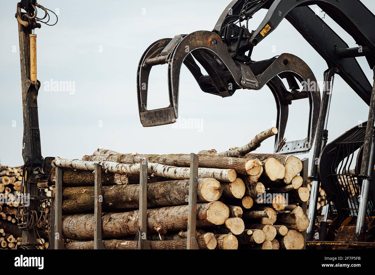 the front loader works in a wood processing plant. industrial excavator with mechanical gripper transports wood in the warehouse Stock Photo