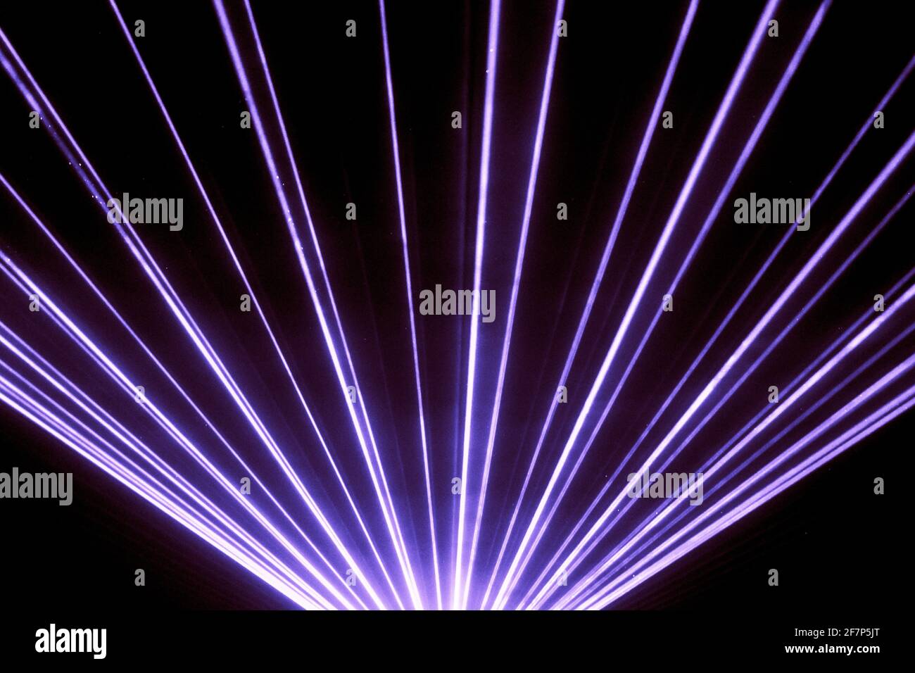 Purple laser show nightlife club stage shining sparkling rays. Luxury