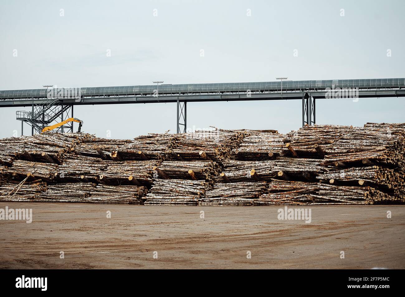 Lumber Loading the front loader transports the harvested wood in the factory ...