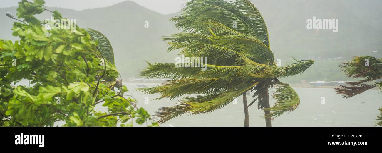 Tropical storm, heavy rain and high winds in tropical climates BANNER ...