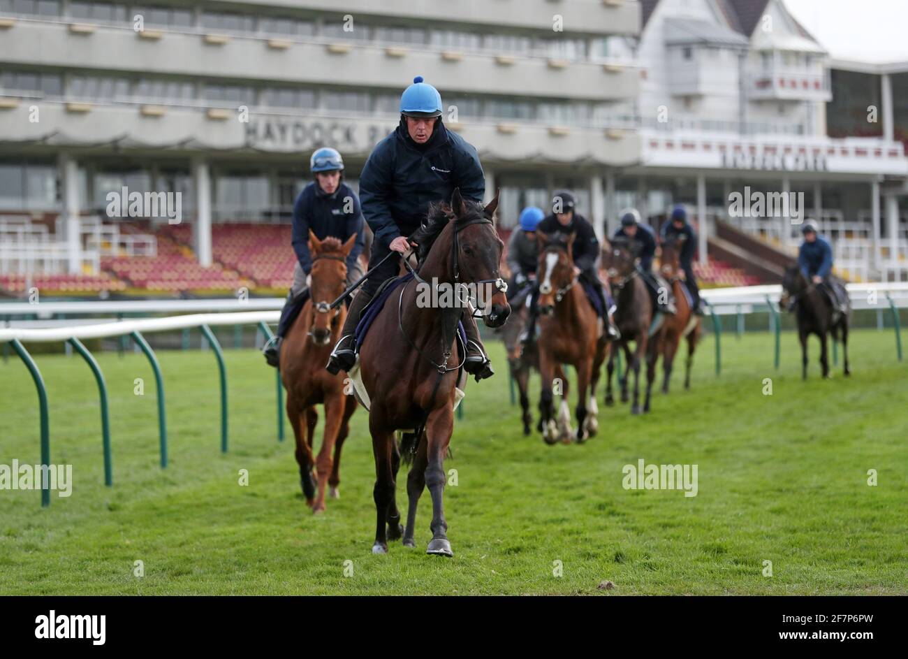 Horses from trainer Henry De Bromhead's stables on the gallops at