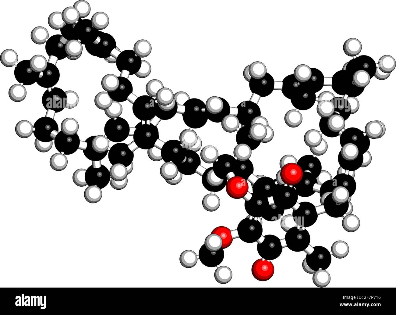 Coenzyme Q10 (ubiquinone, ubidecarenone, CoQ10) molecule, chemical