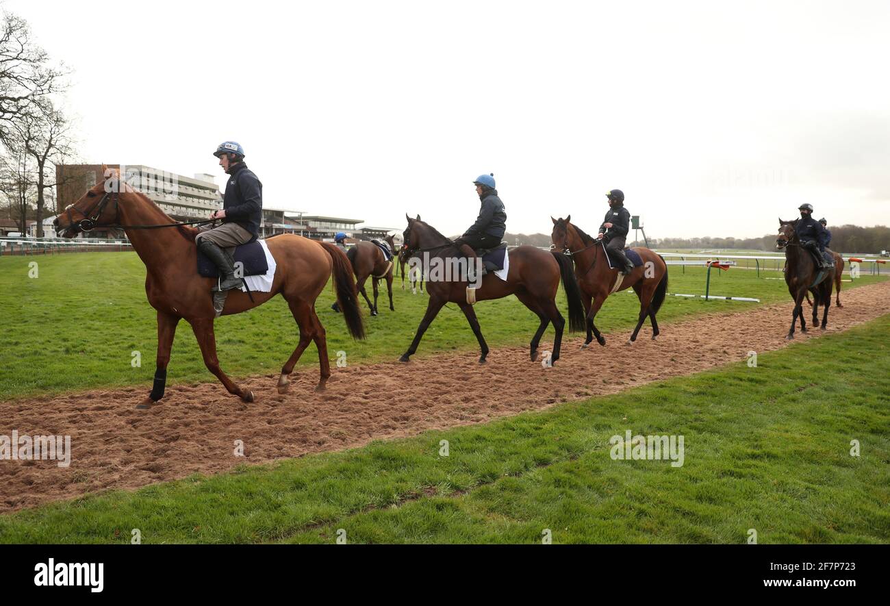 Horses from Trainer Henry De Bromhead's stables walk in from the