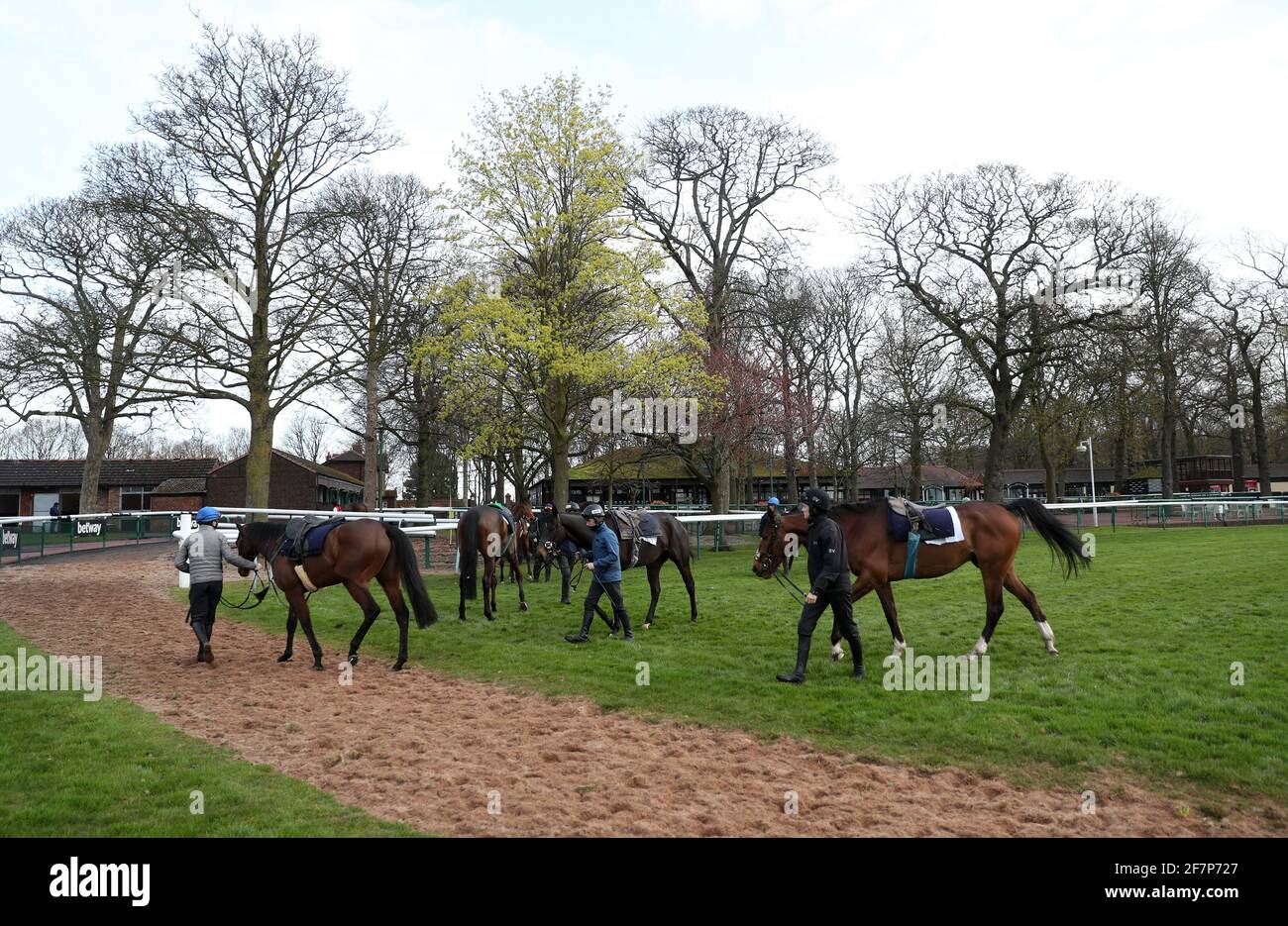 Horses from Trainer Henry De Bromhead's stables walk in from the