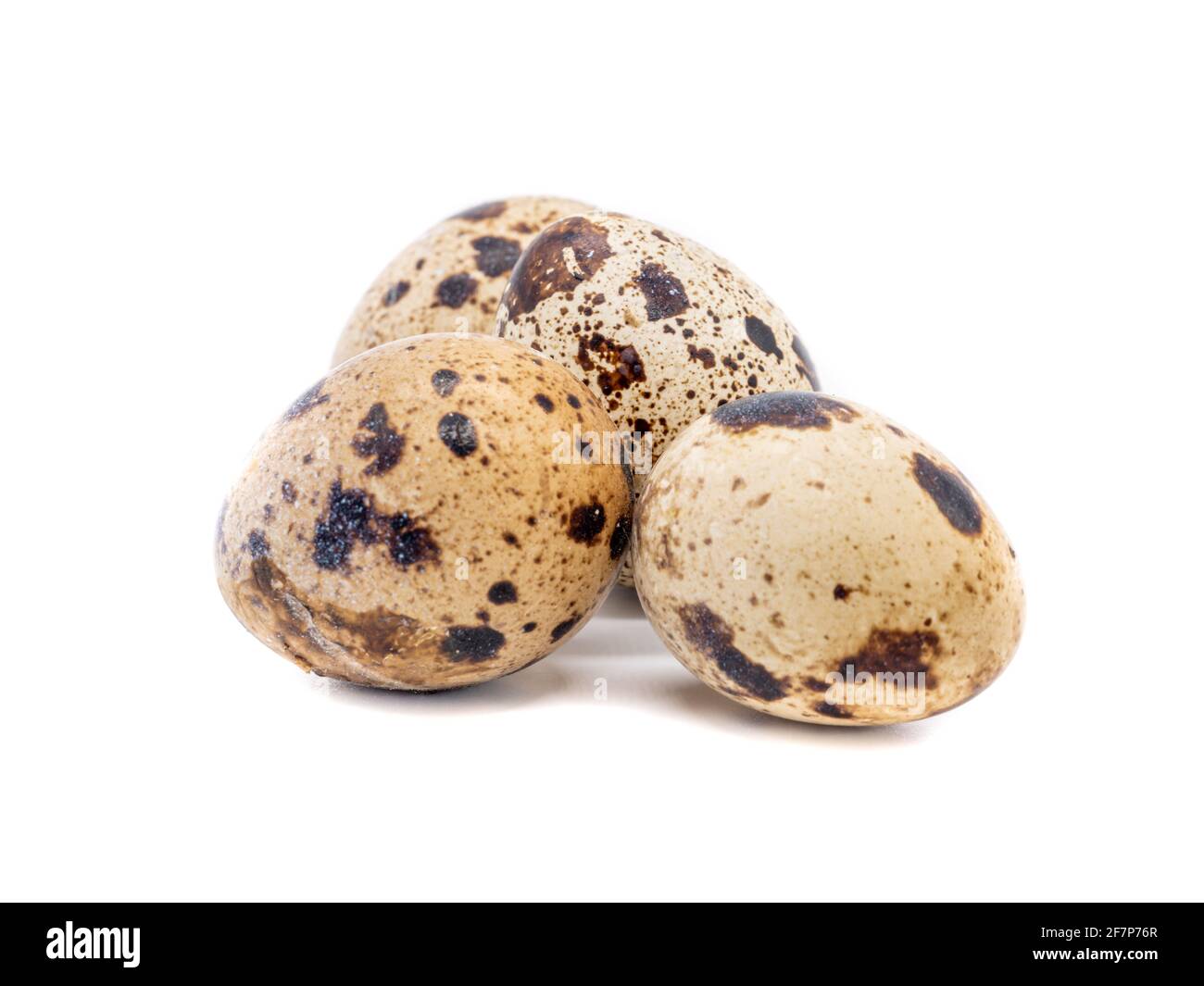Quail eggs isolated on white background Stock Photo