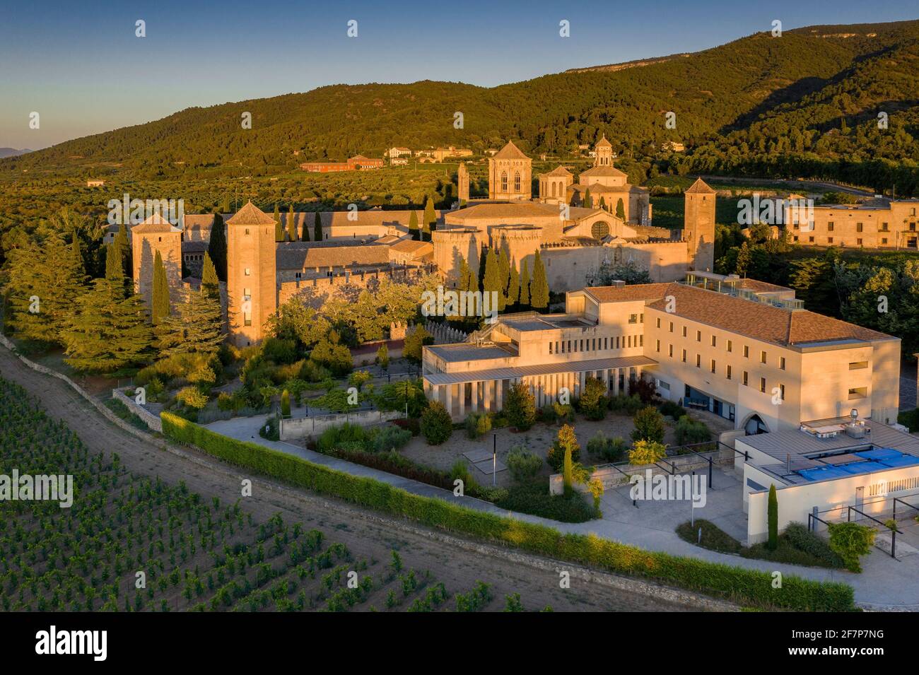 Aerial view of the Poblet Abbey, at sunset, among vineyards (Tarragona province, Catalonia, Spain) ESP: Vistas aéreas del Real Monasterio de Poblet Stock Photo
