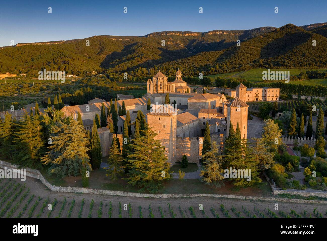 Aerial view of the Poblet Abbey, at sunset, among vineyards (Tarragona