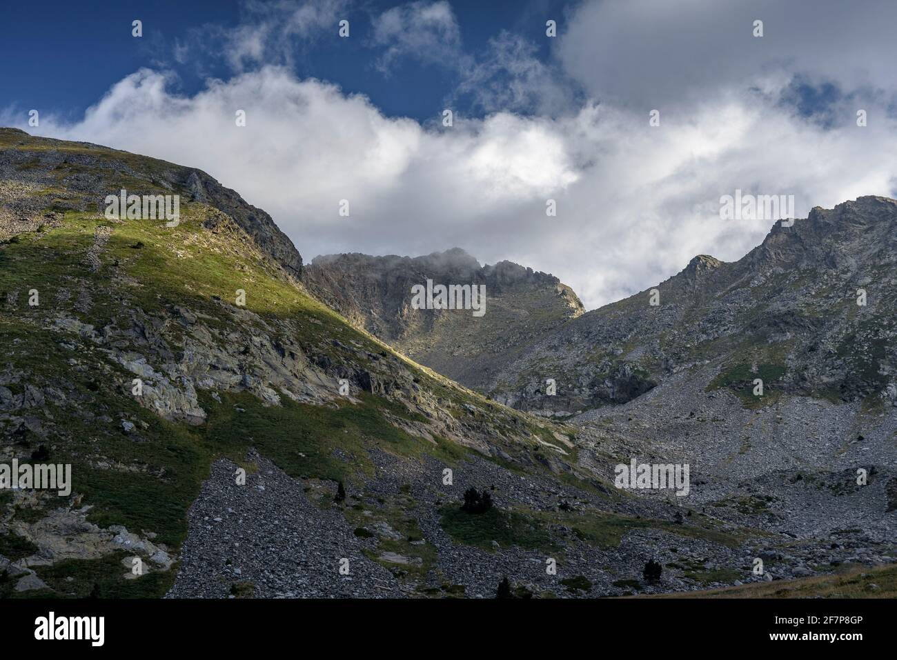 Canigou (Canigó) peak seen from Plans de Cadí in summer (Pyrénées Orientales, Pyrenees, France) ESP: Vista de la Pica del Canigó desde el valle Stock Photo