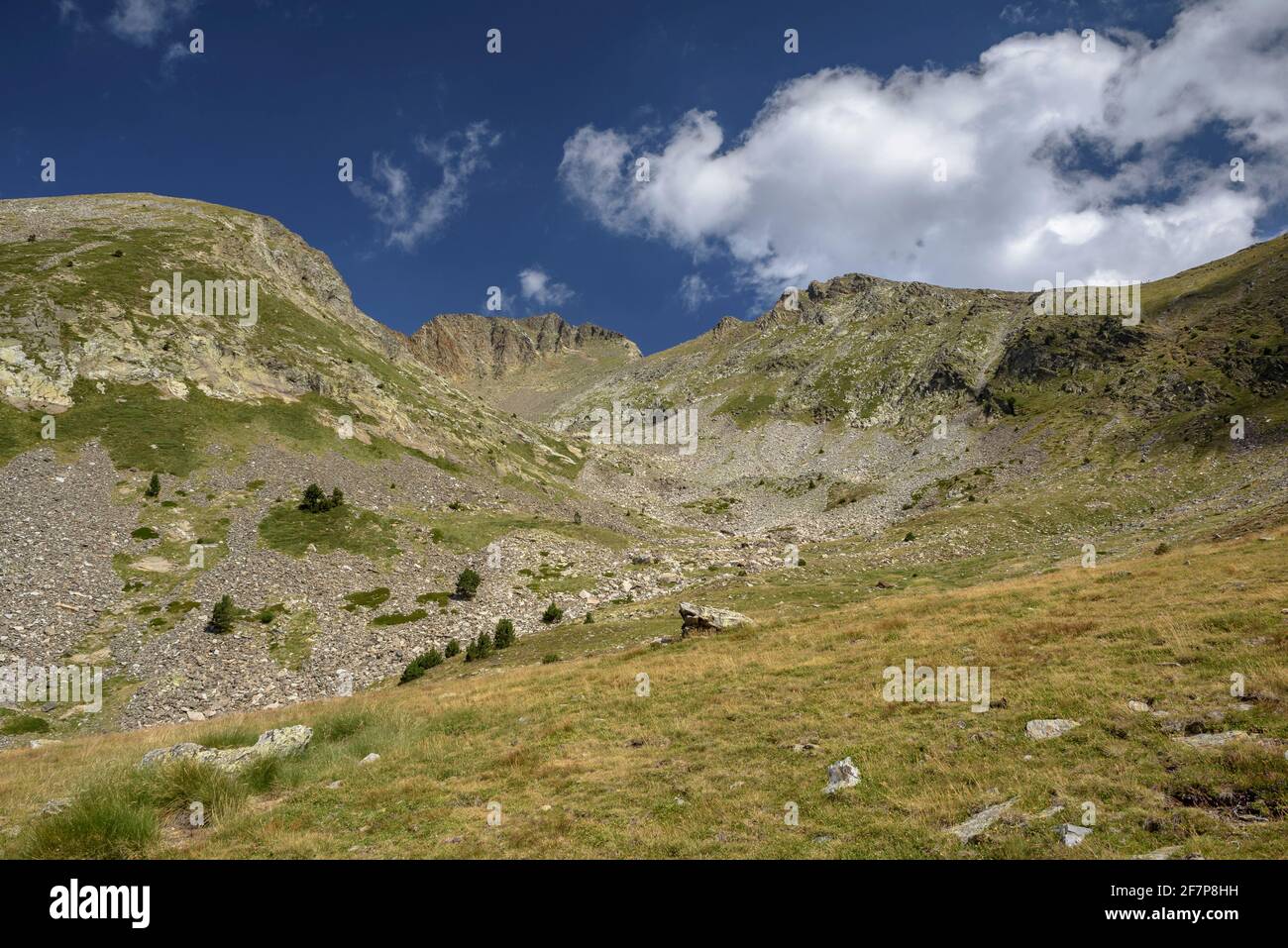 Canigou (Canigó) peak seen from Plans de Cadí in summer (Pyrénées Orientales, Pyrenees, France) ESP: Vista de la Pica del Canigó desde el valle Stock Photo