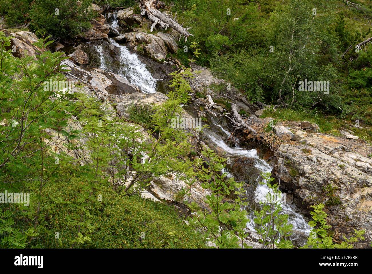 Coma Pedrosa River, in the Comapedrosa National Park (Andorra, Pyrenees) ESP: Río de Coma Pedrosa, en el Parque Comunal del Comapedrosa (Andorra) Stock Photo