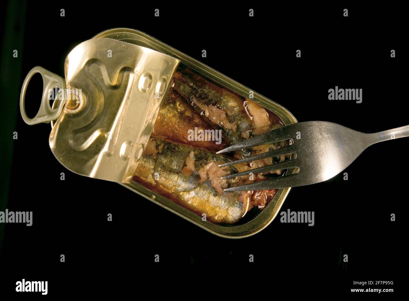 sardinen can with fork Stock Photo