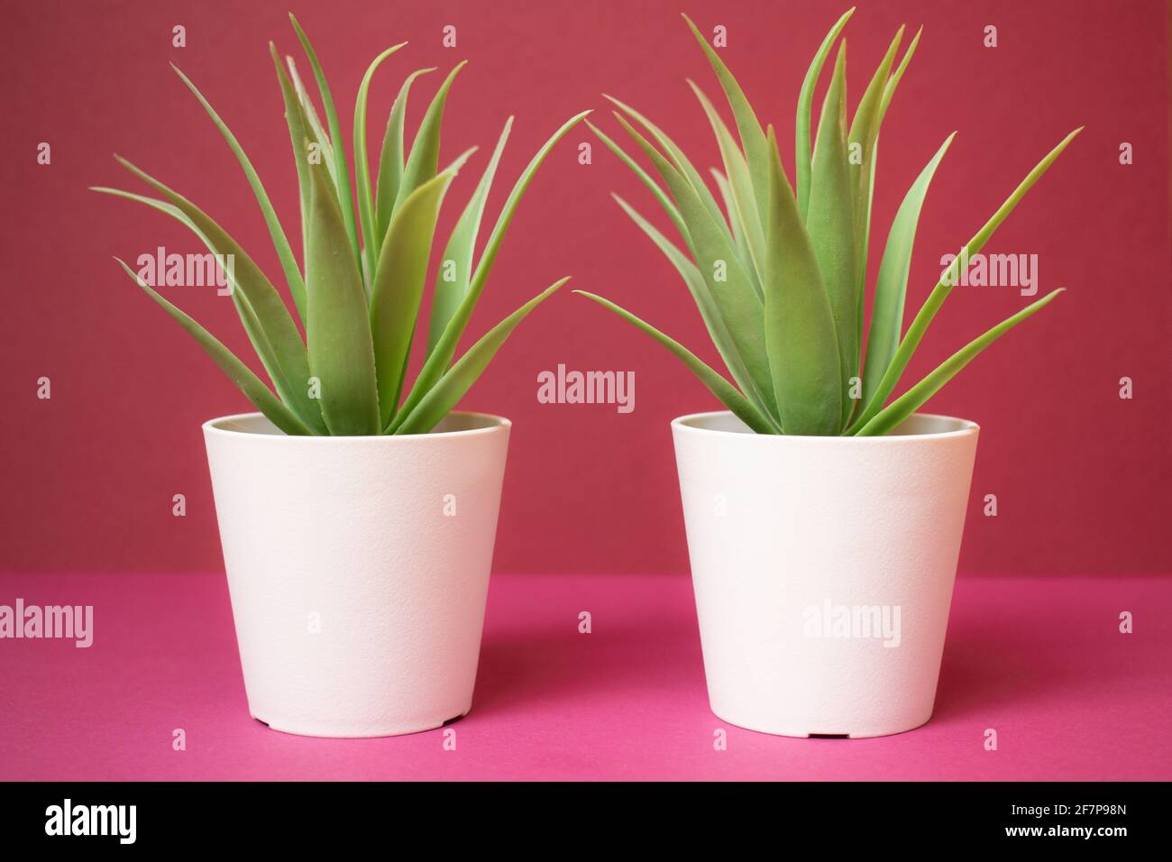 Fake green plants in white pots, on pink background Stock Photo Alamy