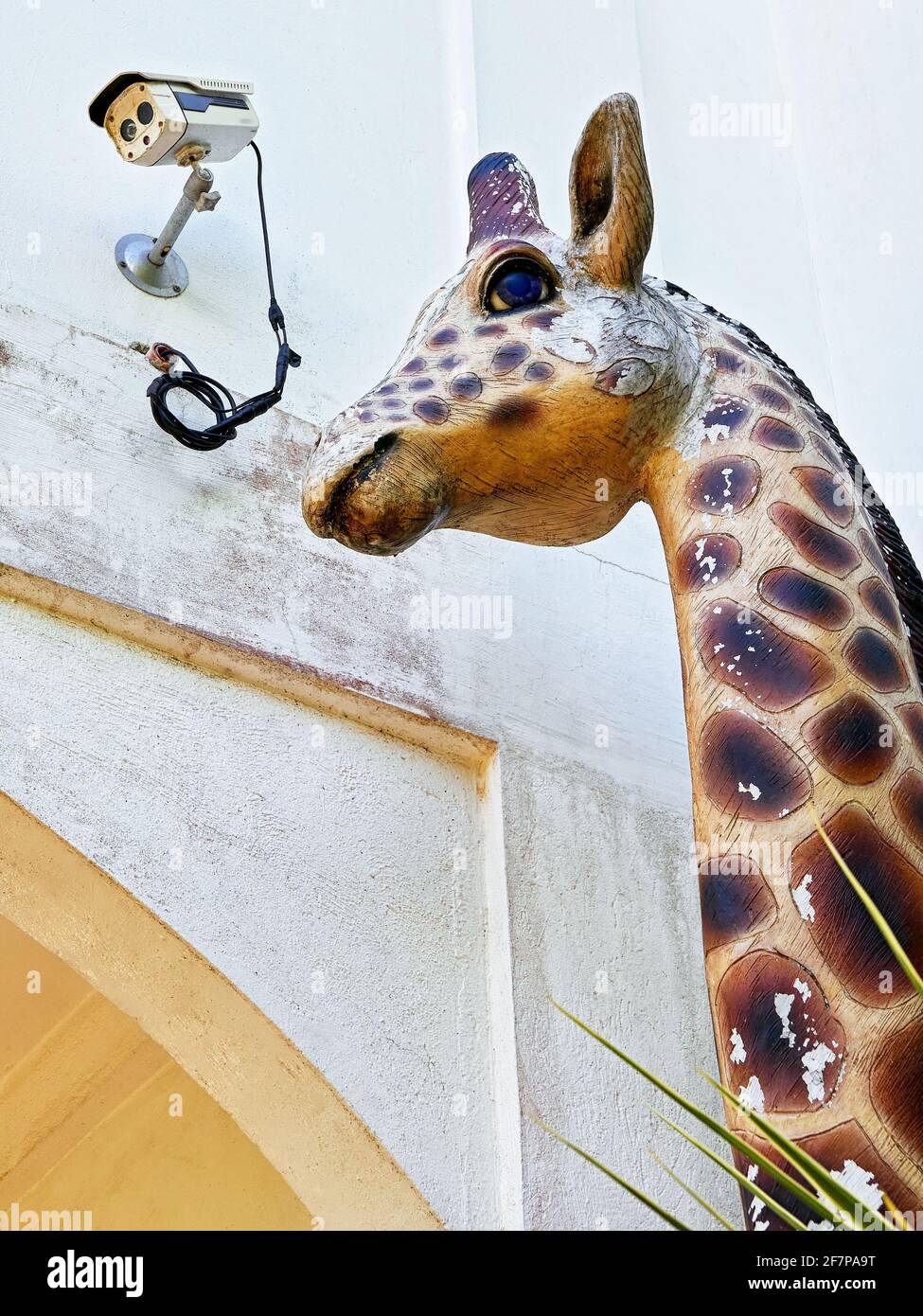 Close-up view of an old giraffe sculpture standing next to a public building wall, with a security camera attached to it, Philippines, Asia Stock Photo