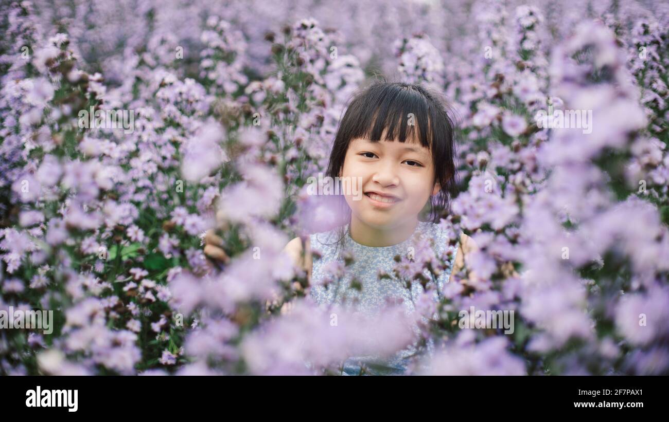 Asian little  child girl smiling in flower fields Stock Photo