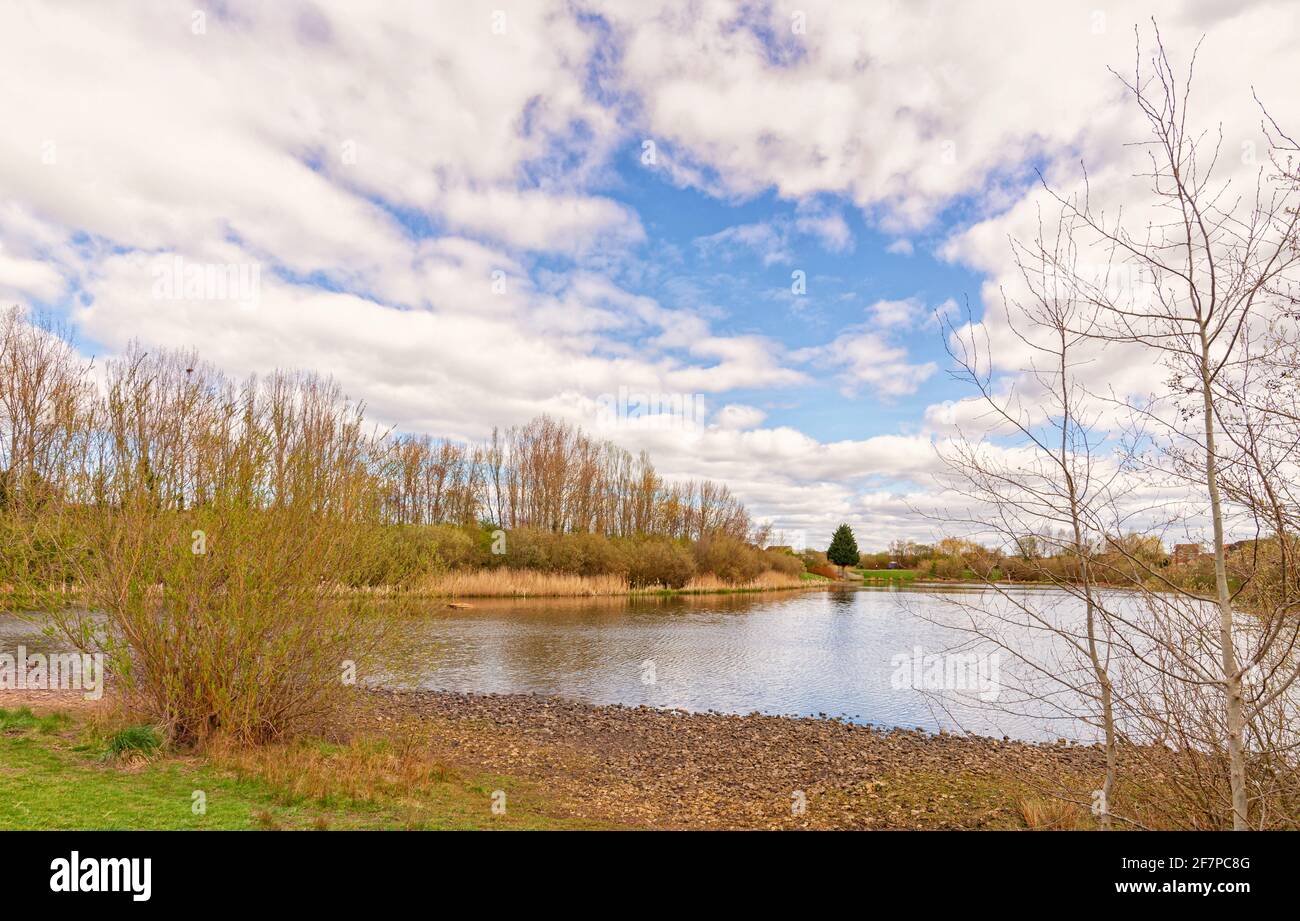 A lake with a with trees and stones in the foreground.  Reeds line the banks and a sky with clouds is above. Stock Photo