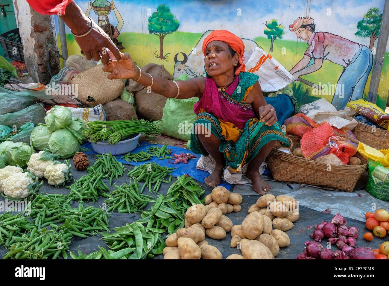 Koraput, India - February 2021: Adivasi woman from the Kondh tribe selling vegetables in the Koraput market on February 21, 2021 in Odisha, India. Stock Photo