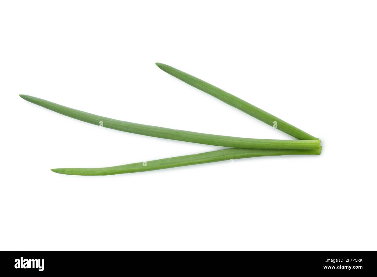 Fresh green onion isolated on white background Stock Photo - Alamy