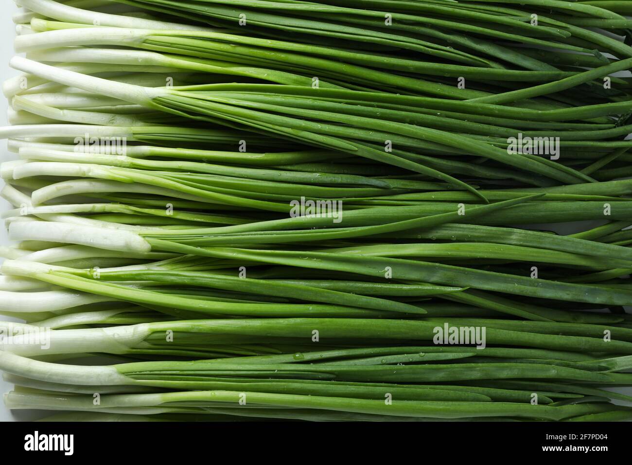 Fresh green onion on whole background, close up Stock Photo - Alamy